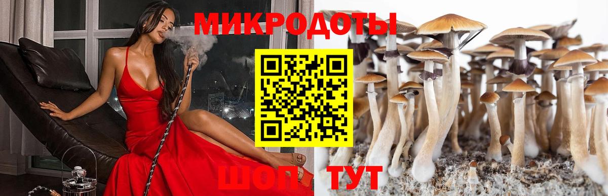 Галлюциногенные грибы ЛСД  Псилоцибиновые грибы ЛСД  Бузулук  Вход с VPN 